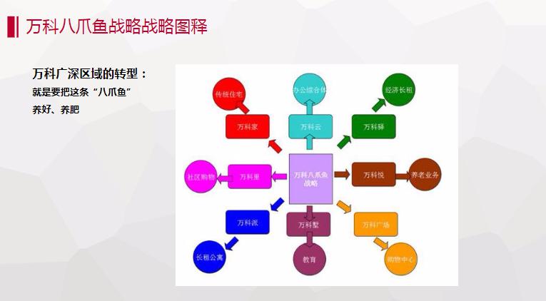 新澳天天免费资料单双_动态词语可信落实_战略版5.174.73.76