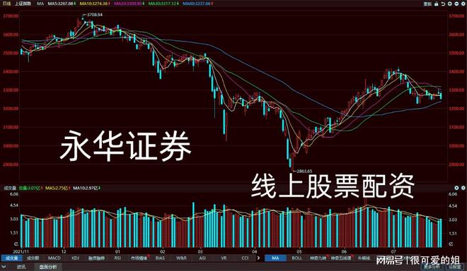 2024年11月 第439页