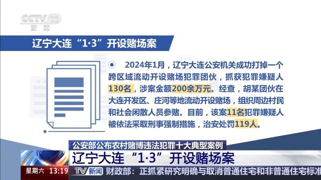 2024澳门今晚必开一肖_最新正品解析实施_精英版124.34.5.13