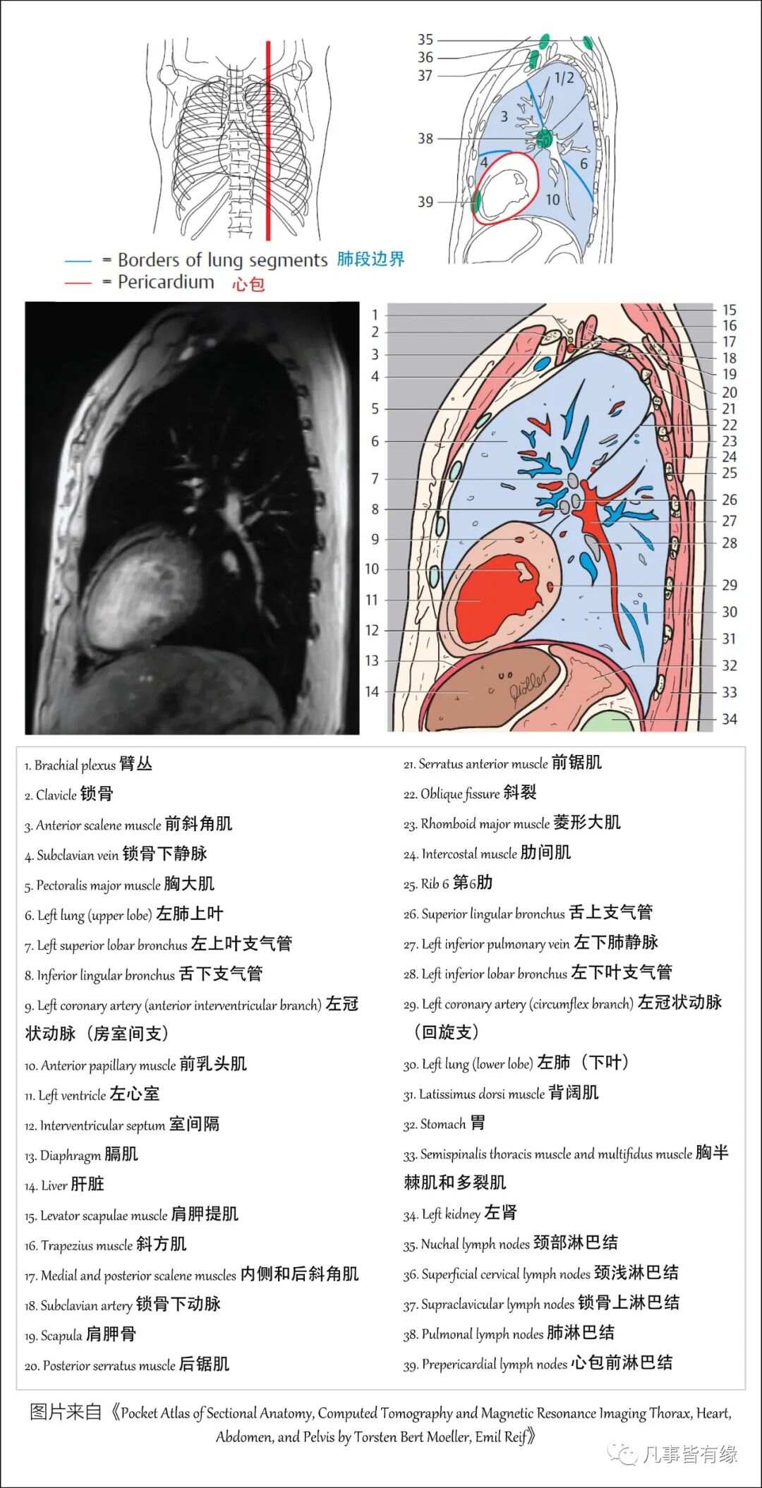 新澳2024年精准资料220期_最新核心解剖落实_尊贵版247.207.58.175