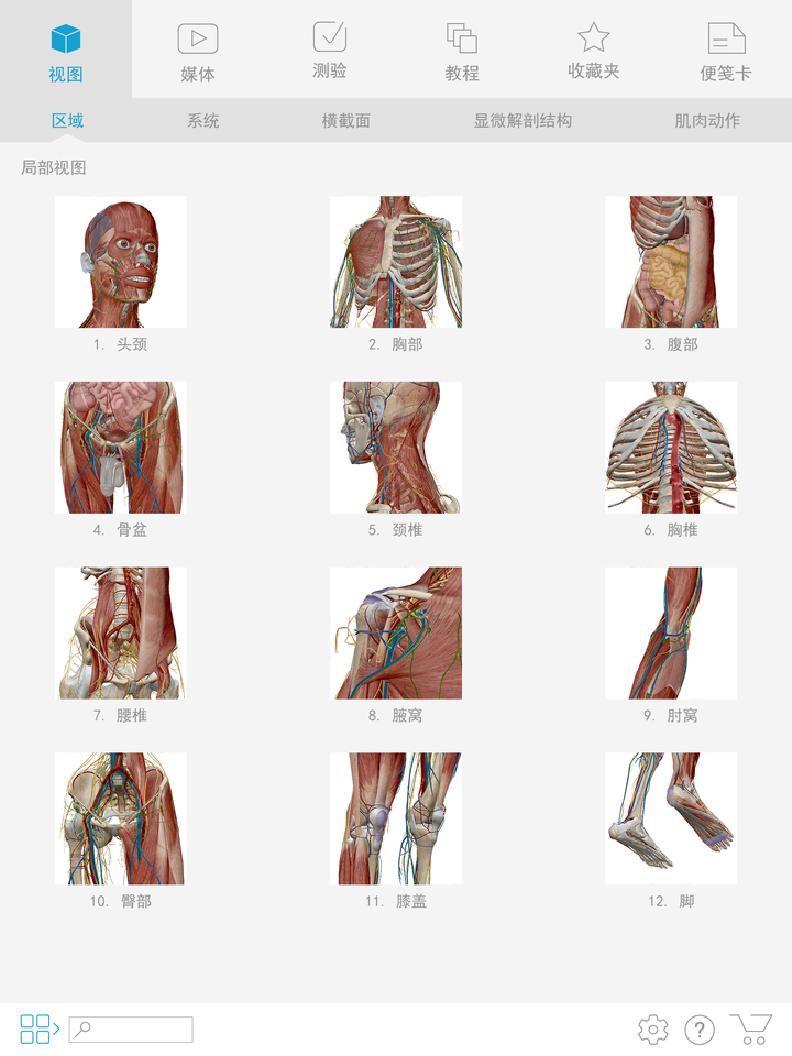 7777788888新版跑狗图_解剖落实_数据资料_VS208.145.151.243